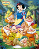 Snow White and 7 Dwarfs - * Pre Order (Made to order) … Full Coverage of Diamonds